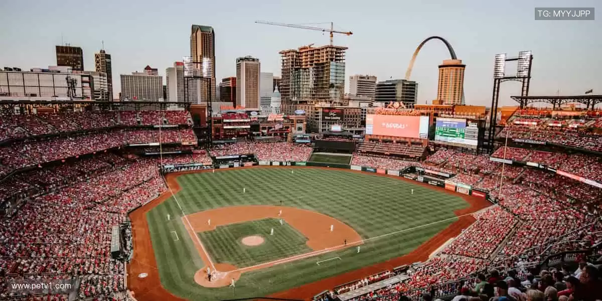 突破极限，赛事因你而燃！🏃